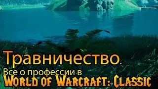 Травничество. Все о профессии в World of Warcraft: Classic