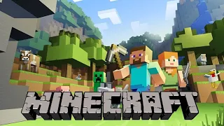 Play Minecraft With My Bro | Minecraft