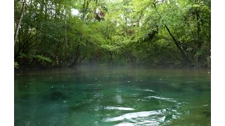 Williford Springs on Econfina Creek