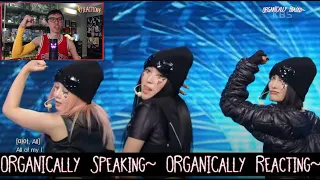 XG - 'GRL GVNG' LIVE~! | MUSIC BANK H/Ls  (Organic Reaction)