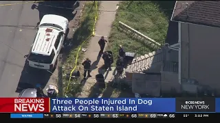 2-year-old among 3 injured in Staten Island dog attack