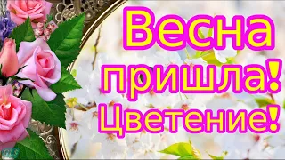 ВЕСНА ПРИШЛА Spring С ВЕСНОЙ Красивые Музыкальные Поздравления Видео открытка ВЕСНА ЦВЕТЕНИЕ