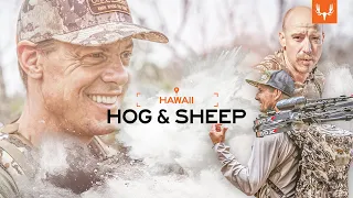 MeatEater | Hawaii Hogs and Sheep