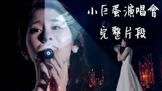 【壓箱寶】張碧晨2015小巨蛋演出完整版  有誰那天跟我一起在現場流淚的