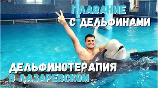Дельфинотерапия Лазаревское. Плавание с дельфинами.