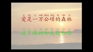 练习 lian xi Practise 刘德华 (belajar mandarin melalui karaoke lagu mandarin pin yin)