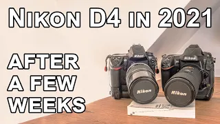 Nikon D4 in 2021: Flagship quality shows... (#2)