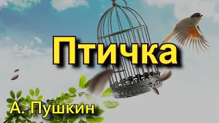 Пушкин А. С. "Птичка". Стихотворение