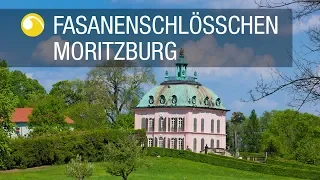 Fasanenschlösschen Moritzburg | Schlösser in Sachsen | Schlösserland Sachsen