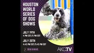 2018 Houston World Series of Dog Shows - Friday