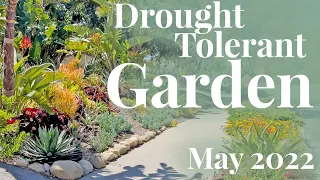Drought Tolerant Garden Tour | May 2022