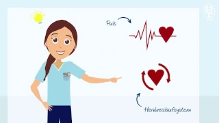 Der Puls: Grundlagen