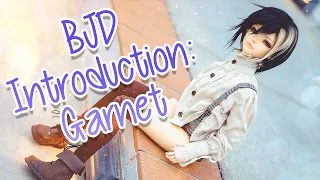 BJD Introductions - Garnet