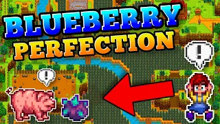I Mastered the BLUEBERRY | Summer 1 PERFECTION RECAP