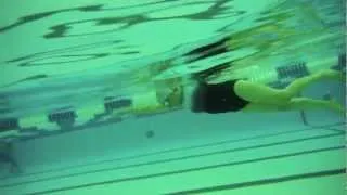 Lisa -  Total Immersion Spring 2013 Masters Level 1 - Initial Video
