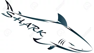 Как просто нарисовать акулу
