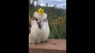 Wearing flower crown.