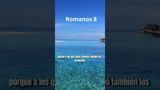 Romanos 8 26 el Espíritu mismo intercede por nosotros con gemidos indecibles #short Biblia hablada