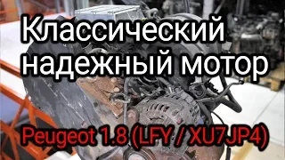 Надежный "француз" с "мокрыми" гильзами. Веселая разборка классического двигателя (LFY / XU7JP4).