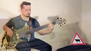 Vulfpeck - Dean Town (bass cover by Durmuş Kızak)