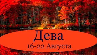 ДЕВА ♍️ Таро-прогноз на неделю с 16-22 Августа 2021 года