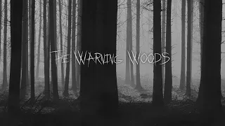 Into the Woods #1:  Diaboli Forest (Bonus Podcast) | The Warning Woods Horror Fiction