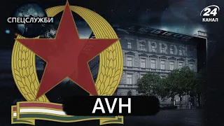 AVH, Спецслужби