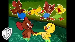 Tom y Jerry en Latino | Lo mejor de Jerry y el Pequeño Patito | WB Kids