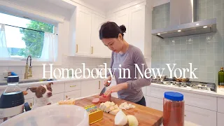 Homebody in New York | My casual daily life adjusting in new home with puppy, work trip to Korea!