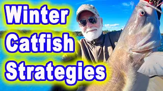 Winter Catfish - Some Things to Think About