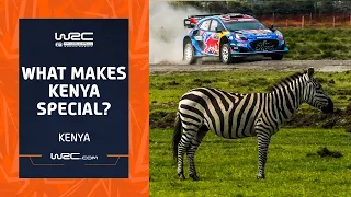 What Makes Kenya So Special? 🦓 | WRC Safari Rally Kenya 2024