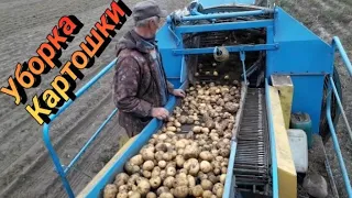 Уборка картофеля 2022 в Беларуси - Anna Z-644 и Мтз 80.1 уражайность 20 центнер