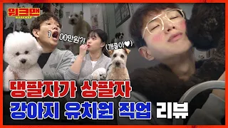 ※Once you click on this video, there's no escape※ Doggy Daycare🐶 Reviewㅣworkman ep.38