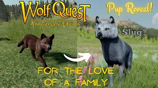 Twelve Beautiful New Wolves! | For The Love of a Family Pup Reveal! | WolfQuest Anniversary Edition