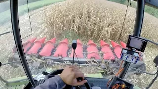 Cab View | Claas Lexion 570 + Capello Diamant 8 Rows | Mais Harvest