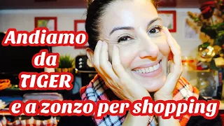 vlog ANDIAMO DA TIGER e AL CENTRO COMMERCIALE CERCHIAMO IDEE NATALIZIE