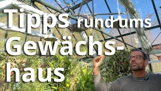 Tipps rund um die verschiedenen Gewächshäuser - so bekommst du ein grünes Paradies unter Glas