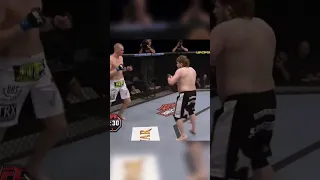 Roy Nelson BRUTALLY KOs Stefan Struve