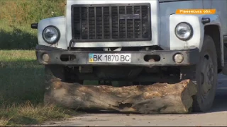 Мусорный скандал – коммунальщики засыпали села и лес отходами