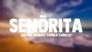 Senõrita - Shawn Mendes, Camila Cabello On-screen Lyrics ❤️