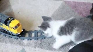 Kittens play with a Lego Train -  Part1