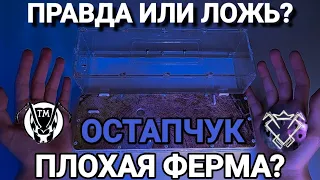 ПРАВДА ИЛИ ЛОЖЬ? НЕКАЧЕСТВЕННЫЕ ФЕРМЫ ОСТАПЧУКА?!  ТАПОК МИРА