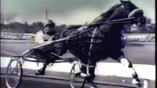 1965 Yonkers Raceway BRET HANOVER Cane Pace Frank Ervin