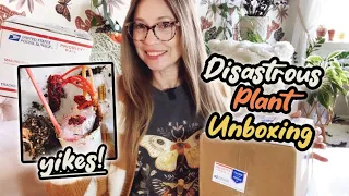 Disastrous Plant Unboxing! | Hoyas and Begonias | New Houseplants In My Collection