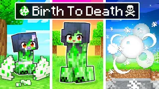 The BIRTH to DEATH of a Minecraft Creeper!