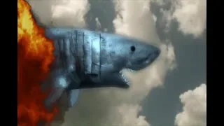 The Shark Scale: Raiders Of The Lost Shark