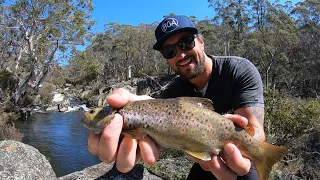 Wild Trout In The Snowy Mountains | Catch n Cook Over The Coals