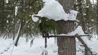 Закрыли путик...