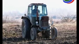 В Магармкентском районе приступили к посадке фруктовых деревьев и виноградников