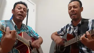 música canarinho prisioneiro.